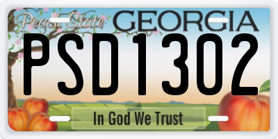 GA license plate PSD1302