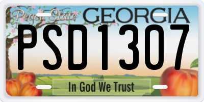 GA license plate PSD1307