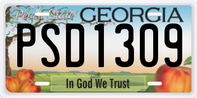 GA license plate PSD1309