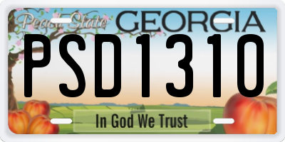 GA license plate PSD1310