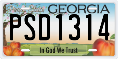 GA license plate PSD1314