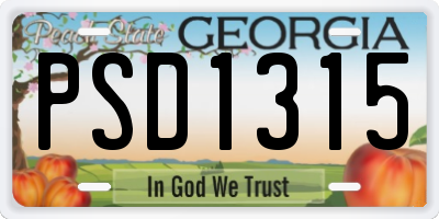 GA license plate PSD1315