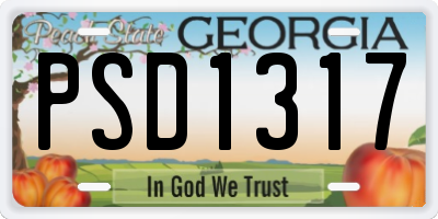 GA license plate PSD1317