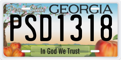 GA license plate PSD1318