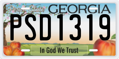 GA license plate PSD1319
