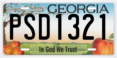 GA license plate PSD1321