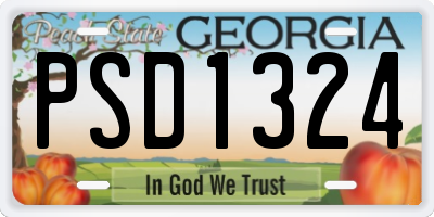 GA license plate PSD1324