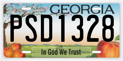 GA license plate PSD1328