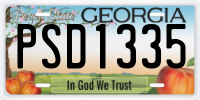 GA license plate PSD1335