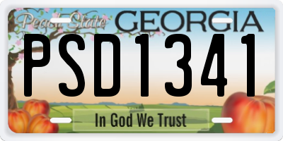GA license plate PSD1341