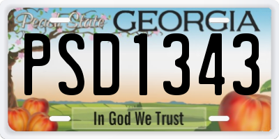 GA license plate PSD1343