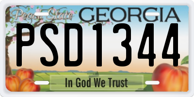 GA license plate PSD1344