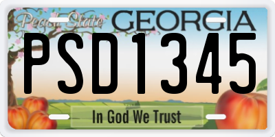 GA license plate PSD1345