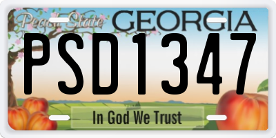 GA license plate PSD1347