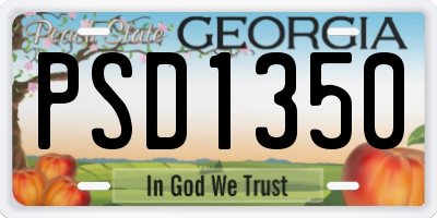GA license plate PSD1350