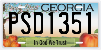 GA license plate PSD1351