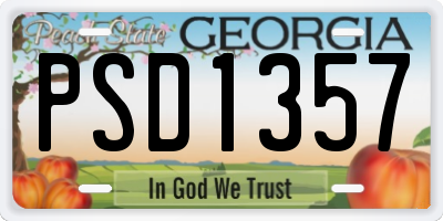 GA license plate PSD1357