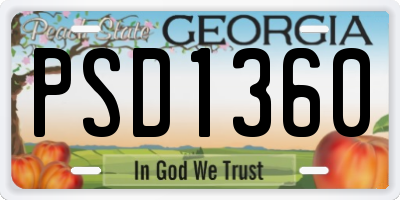 GA license plate PSD1360