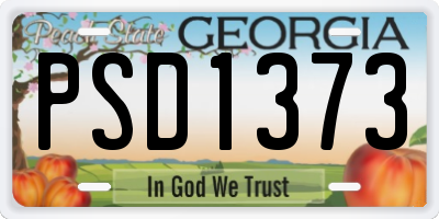 GA license plate PSD1373