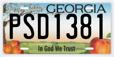 GA license plate PSD1381