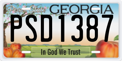 GA license plate PSD1387