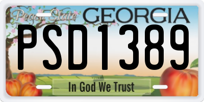 GA license plate PSD1389