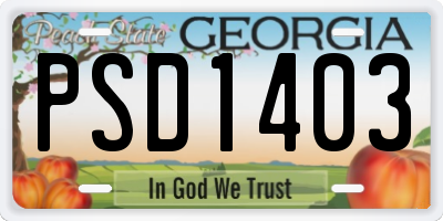 GA license plate PSD1403