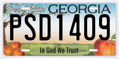 GA license plate PSD1409