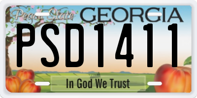 GA license plate PSD1411