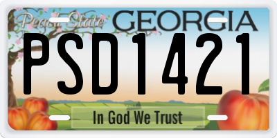 GA license plate PSD1421