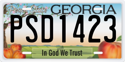 GA license plate PSD1423