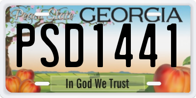 GA license plate PSD1441