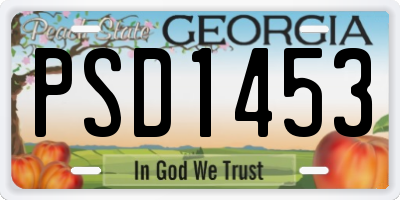 GA license plate PSD1453