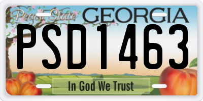 GA license plate PSD1463