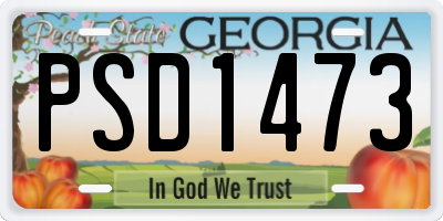 GA license plate PSD1473