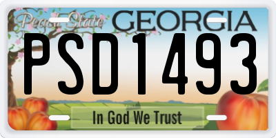 GA license plate PSD1493