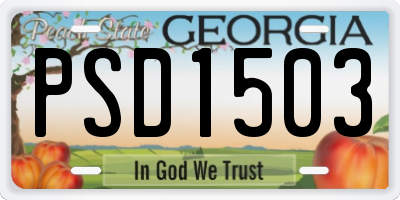 GA license plate PSD1503