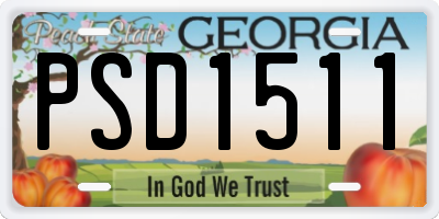 GA license plate PSD1511