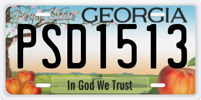 GA license plate PSD1513