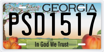 GA license plate PSD1517