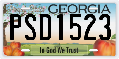 GA license plate PSD1523