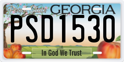 GA license plate PSD1530