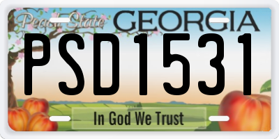 GA license plate PSD1531