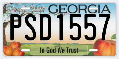 GA license plate PSD1557