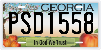GA license plate PSD1558