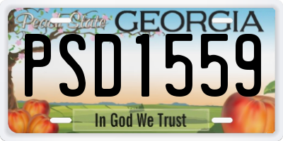 GA license plate PSD1559