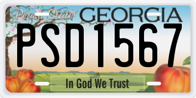 GA license plate PSD1567