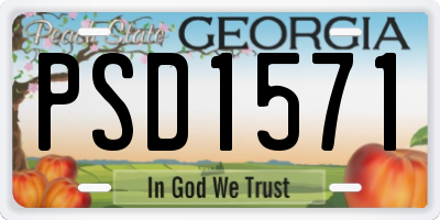 GA license plate PSD1571