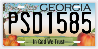 GA license plate PSD1585
