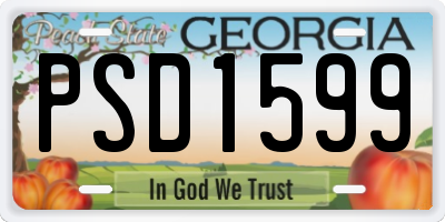 GA license plate PSD1599